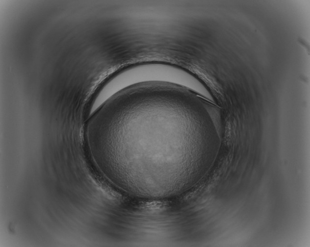 X0000091640064200709131439