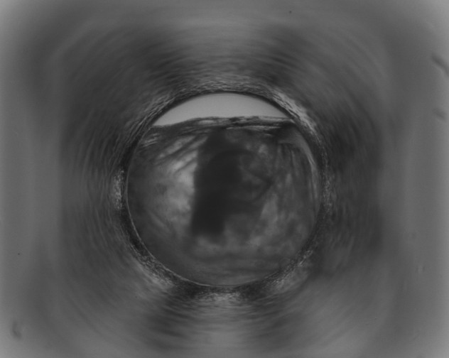 X0000091640065200709131439