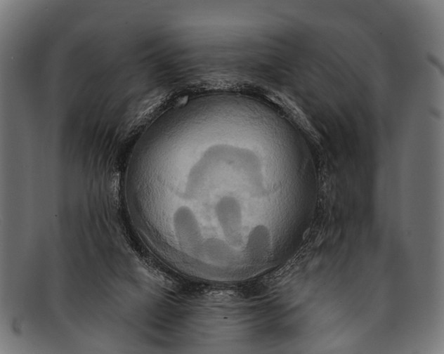 X0000091640066200709131439