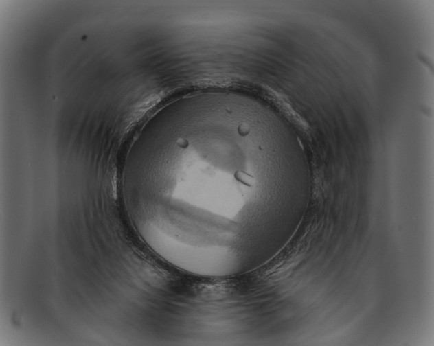 X0000091640068200709131439