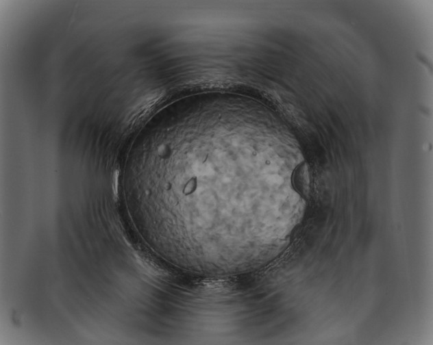 X0000091640070200709131439
