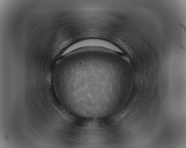 X0000091640072200709131439