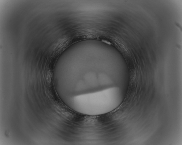 X0000091640078200709131439