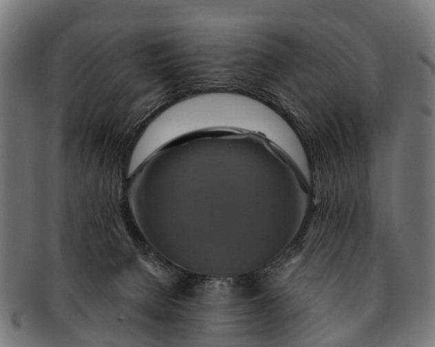 X0000091640080200709131439
