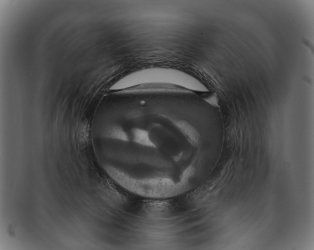 X0000091640081200709131439