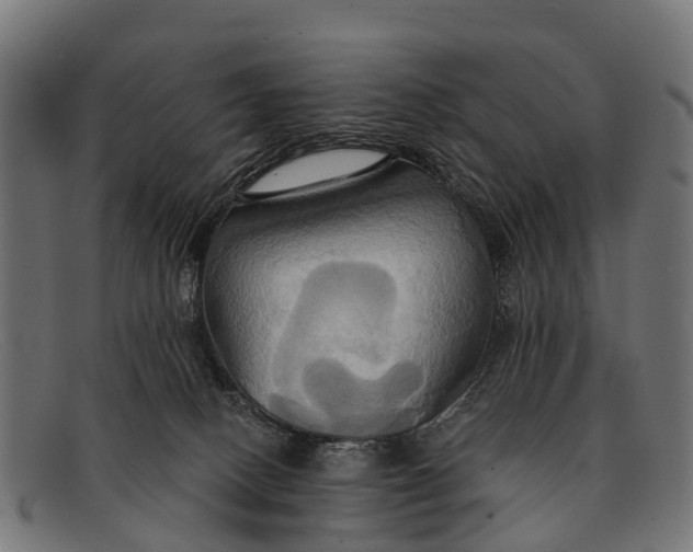 X0000091640082200709131439
