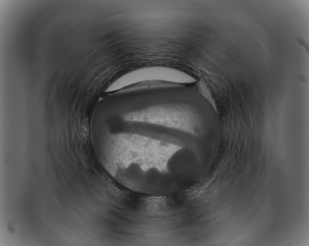 X0000091640085200709131439