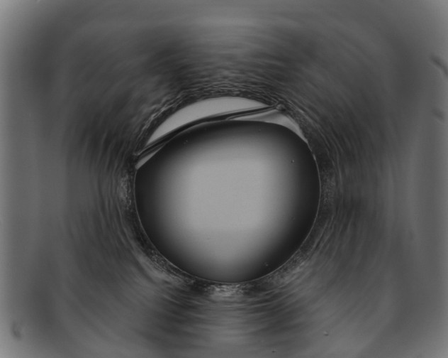 X0000091640088200709131439