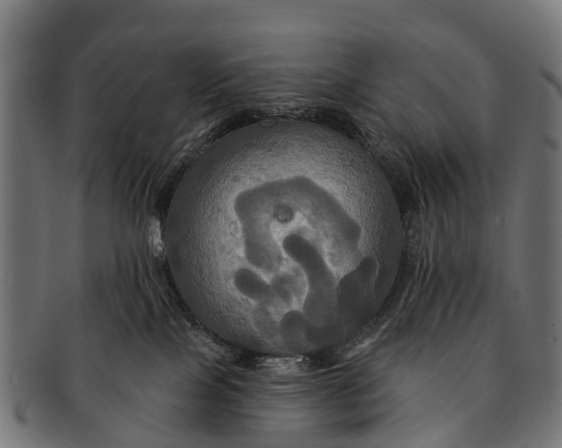 X0000091640089200709131439