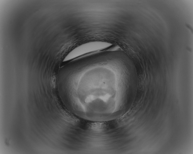 X0000091640090200709131439