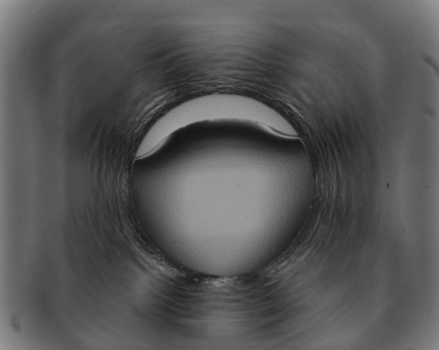 X0000091640092200709131439