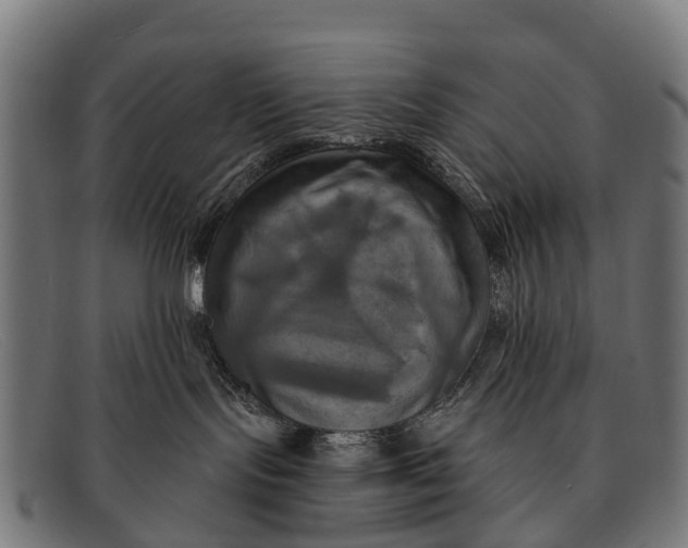 X0000091640095200709131439