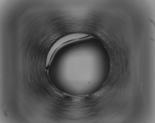 X0000091640096200709131439