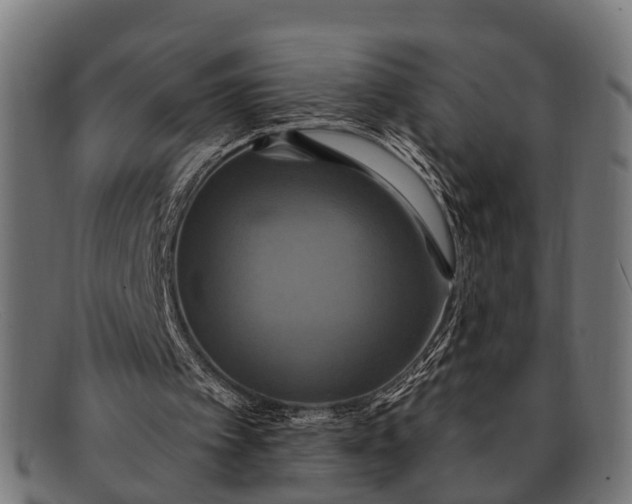 X0000091640097200709131439