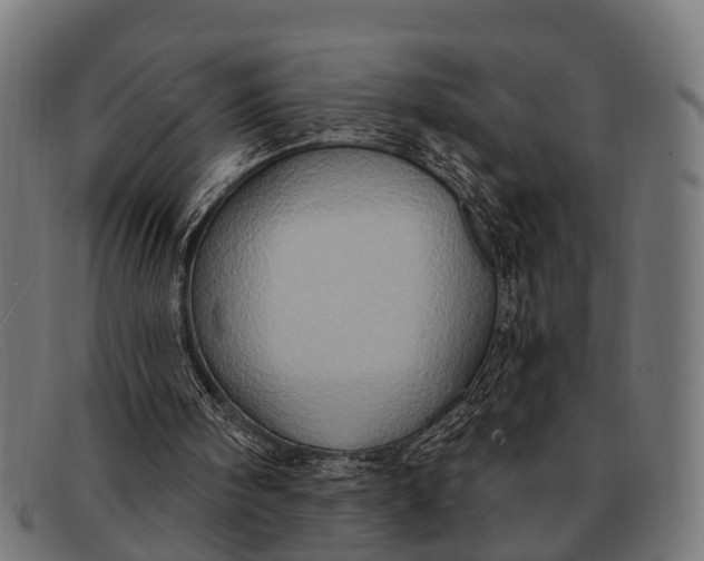 X0000091640098200709131439