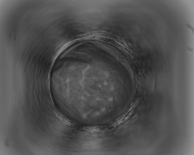 X0000091640100200709131439