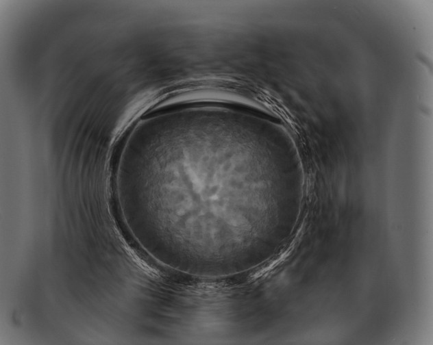 X0000091640101200709131439