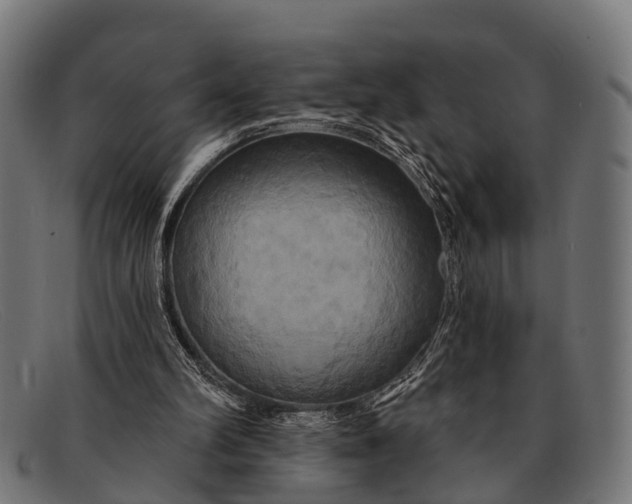 X0000091640102200709131439