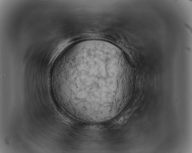 X0000091640103200709131439