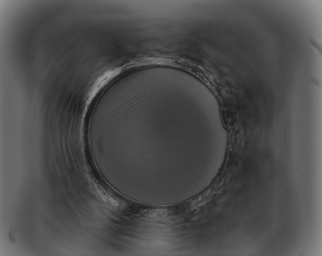 X0000091640104200709131439