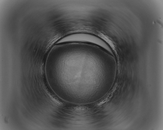 X0000091640105200709131439