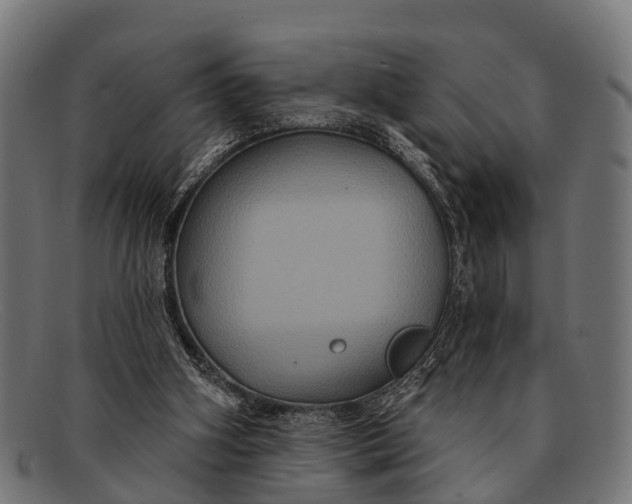 X0000091640106200709131439