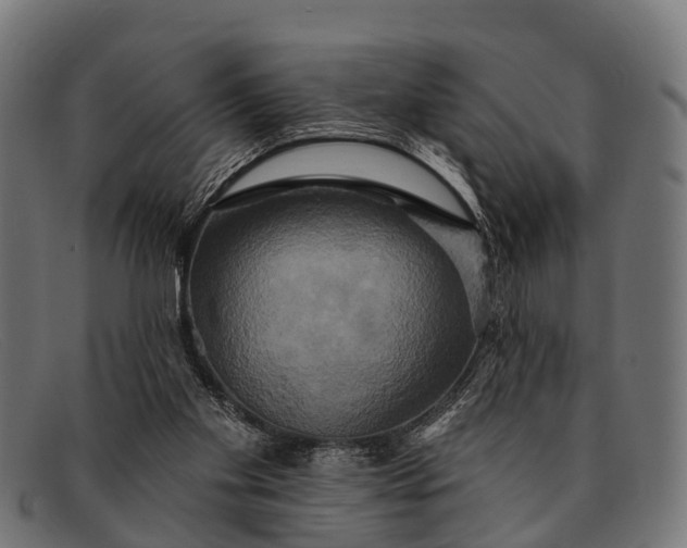 X0000091640109200709131439