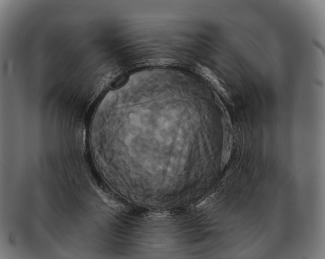 X0000091640110200709131439