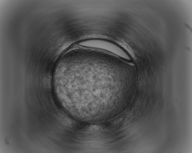 X0000091640111200709131439