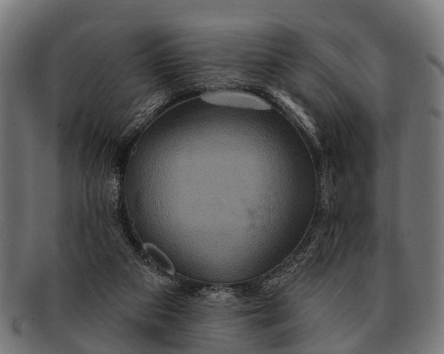 X0000091640113200709131439