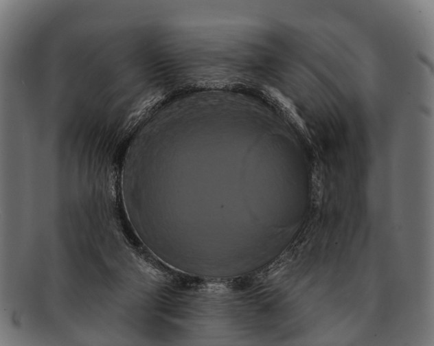 X0000091640114200709131439