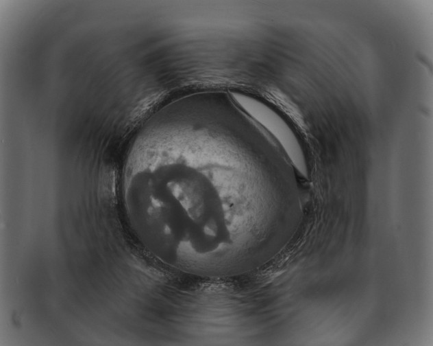 X0000091640115200709131439
