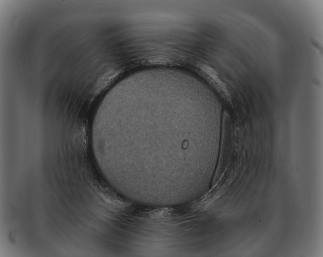 X0000091640116200709131438