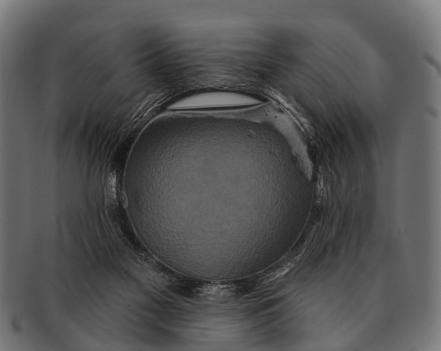 X0000091640117200709131438