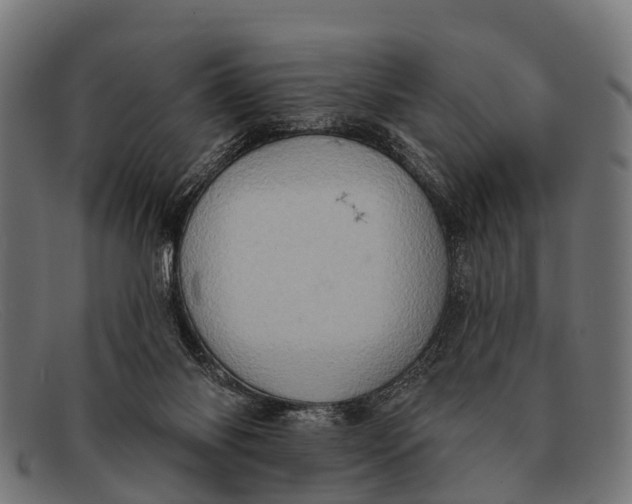 X0000091640118200709131438