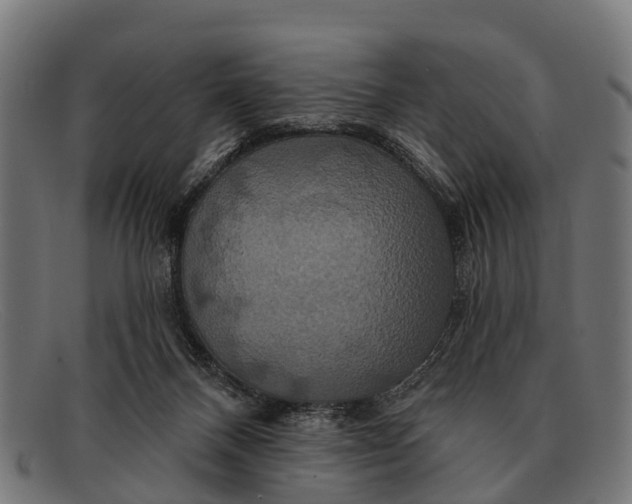 X0000091640120200709131438