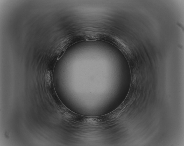 X0000091640121200709131438