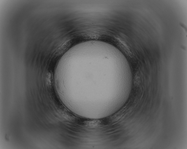 X0000091640122200709131438