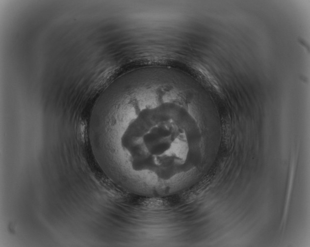 X0000091640123200709131438