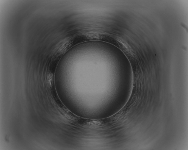 X0000091640125200709131438