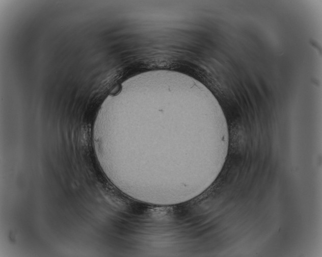 X0000091640126200709131438