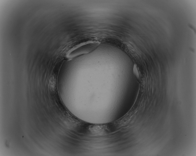 X0000091640129200709131438