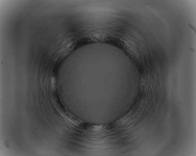 X0000091640130200709131438
