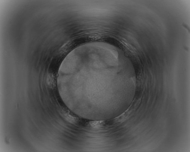 X0000091640136200709131438