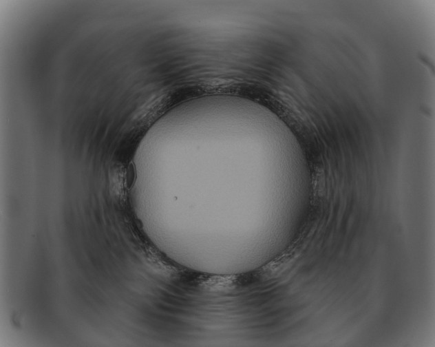 X0000091640138200709131438