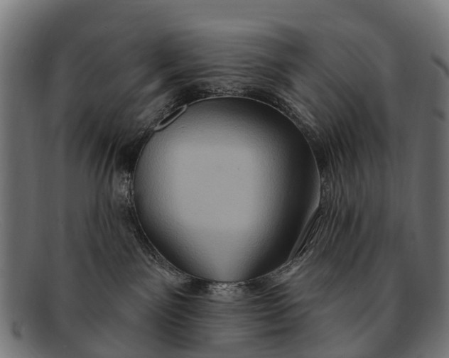 X0000091640141200709131438