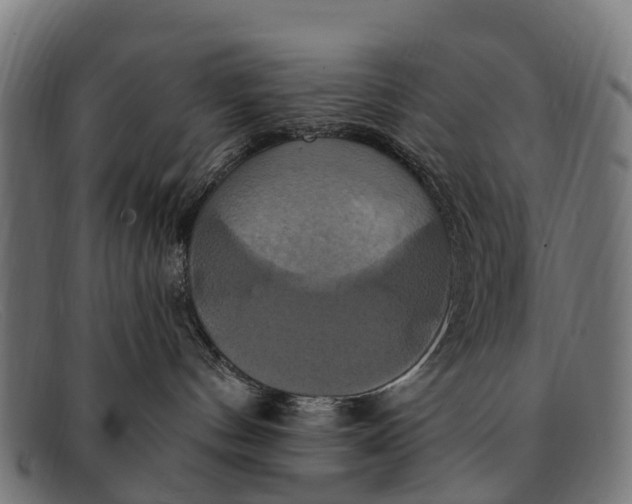 X0000091640144200709131438