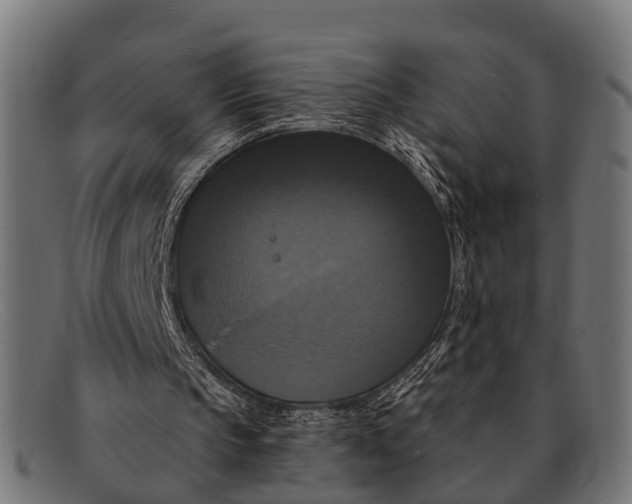 X0000091640145200709131438