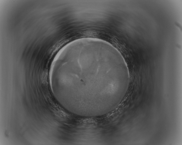X0000091640146200709131438