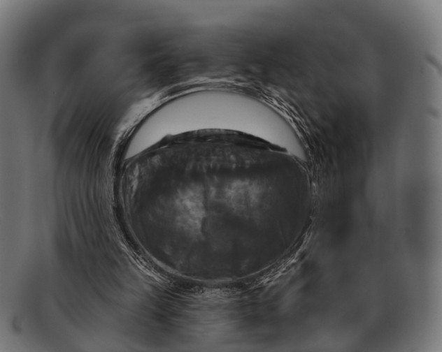 X0000091640149200709131438